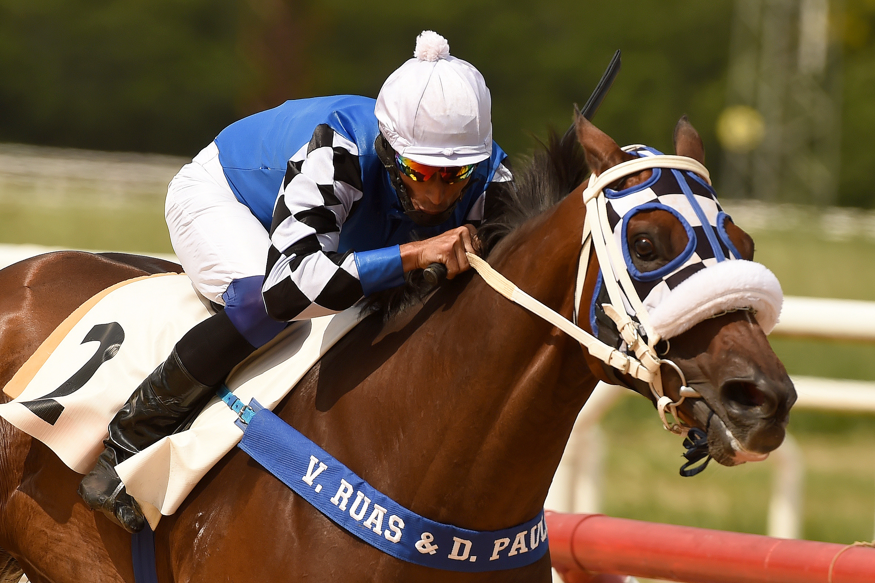 GULF DO JAGUARETE brincou de correr  