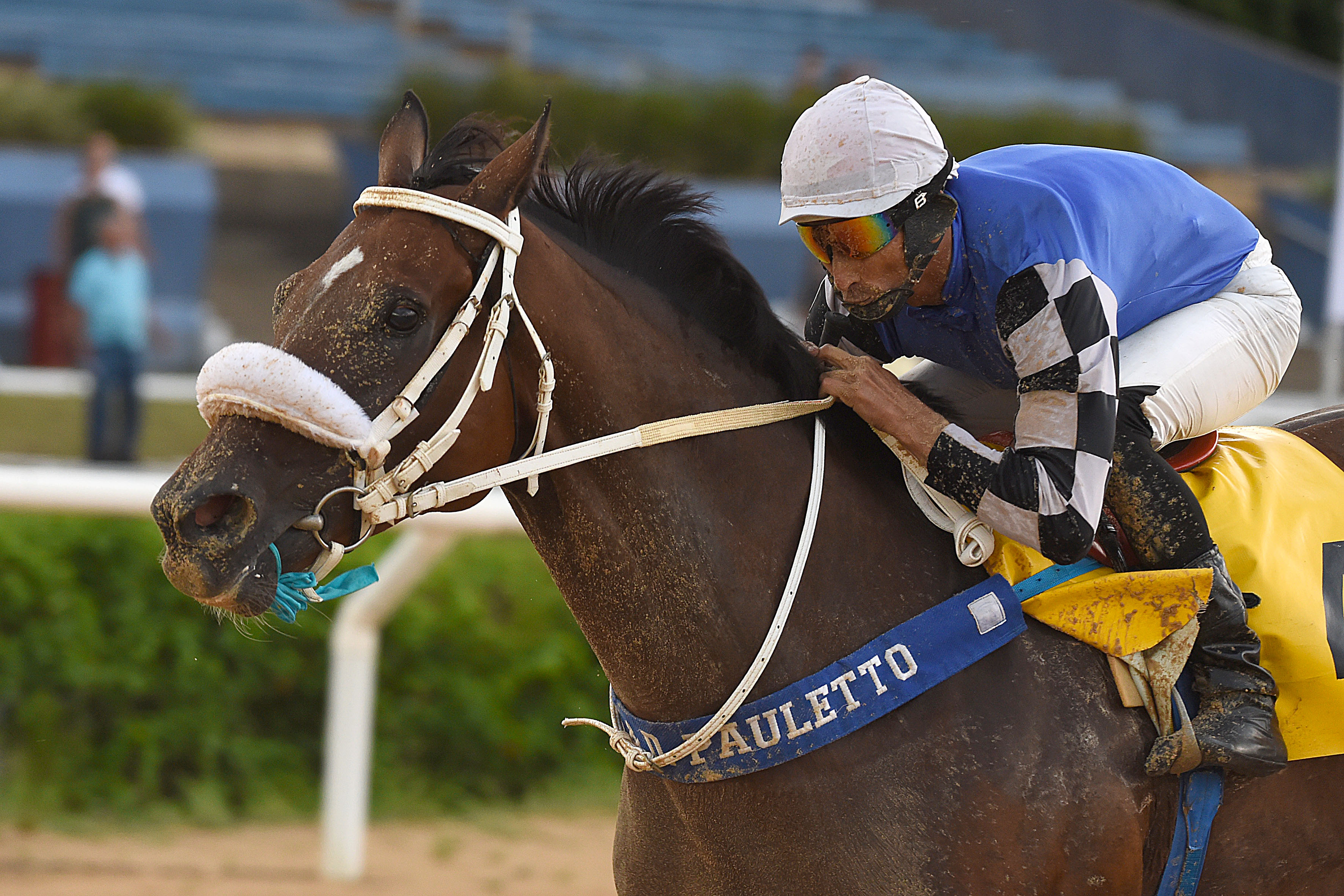 This image for Image Layouts addon