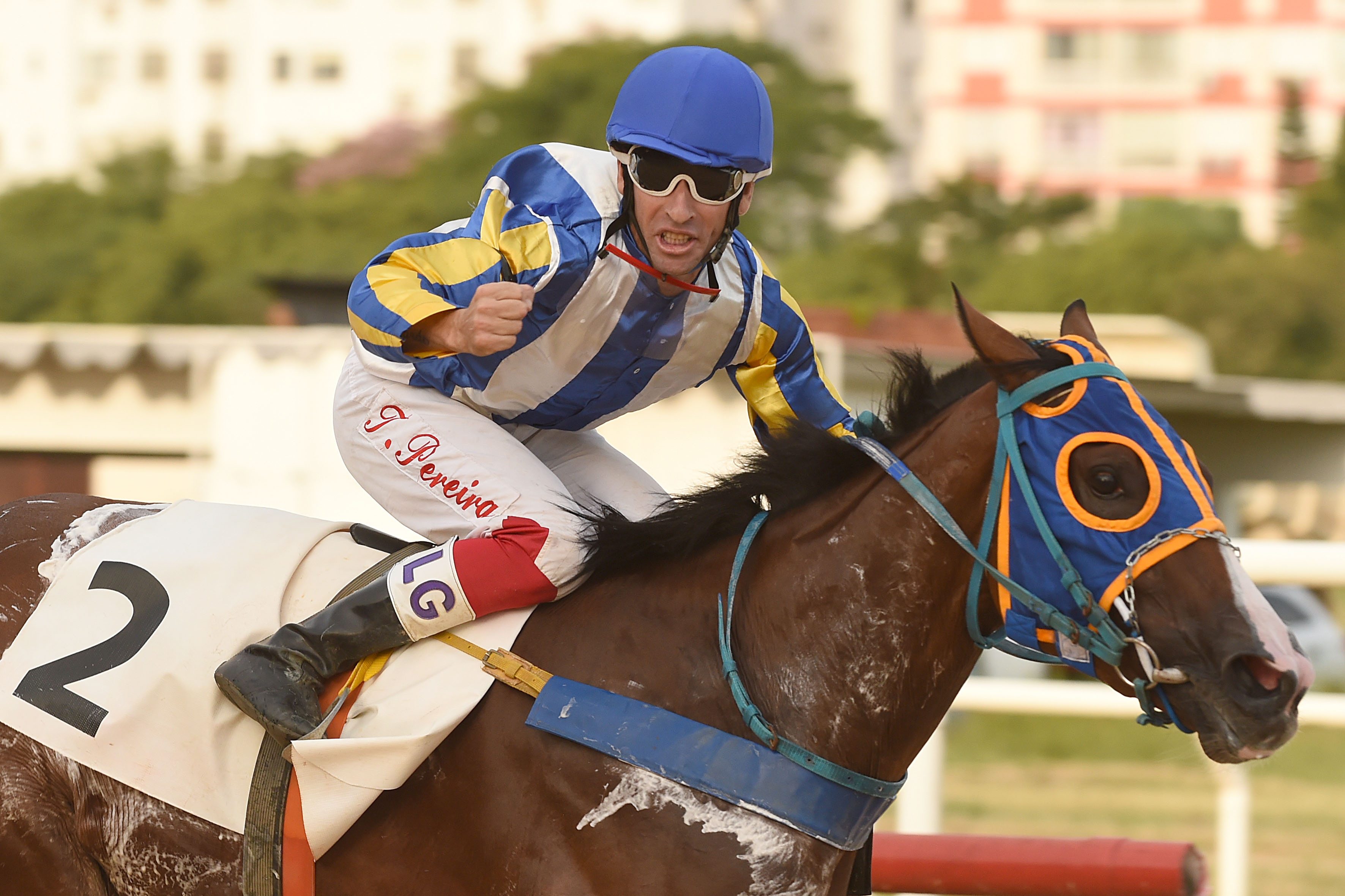 This image for Image Layouts addon