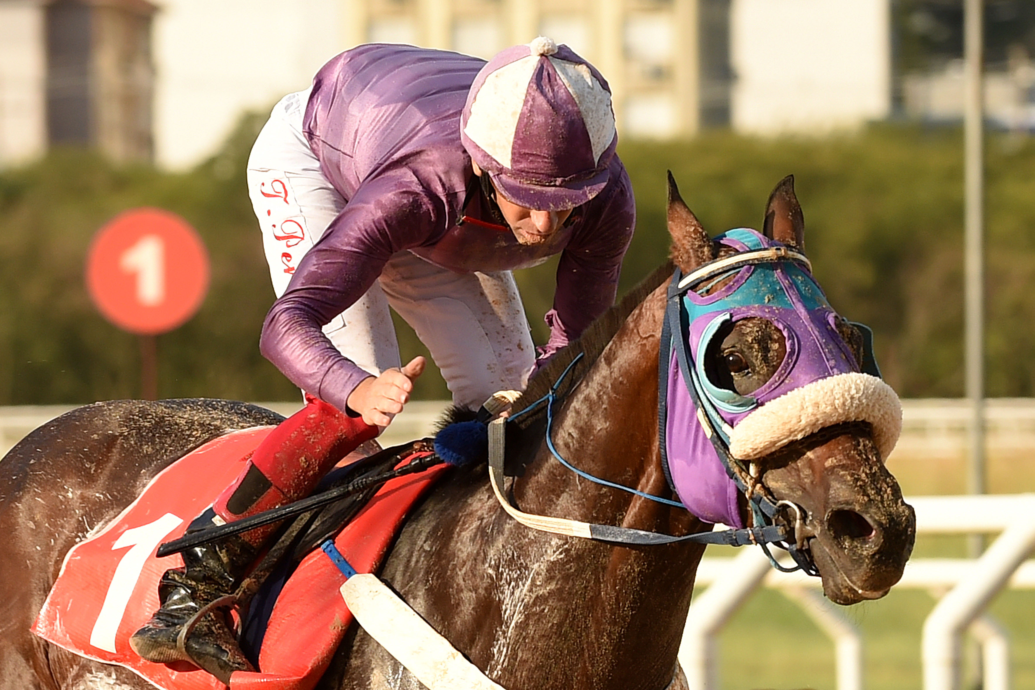 This image for Image Layouts addon