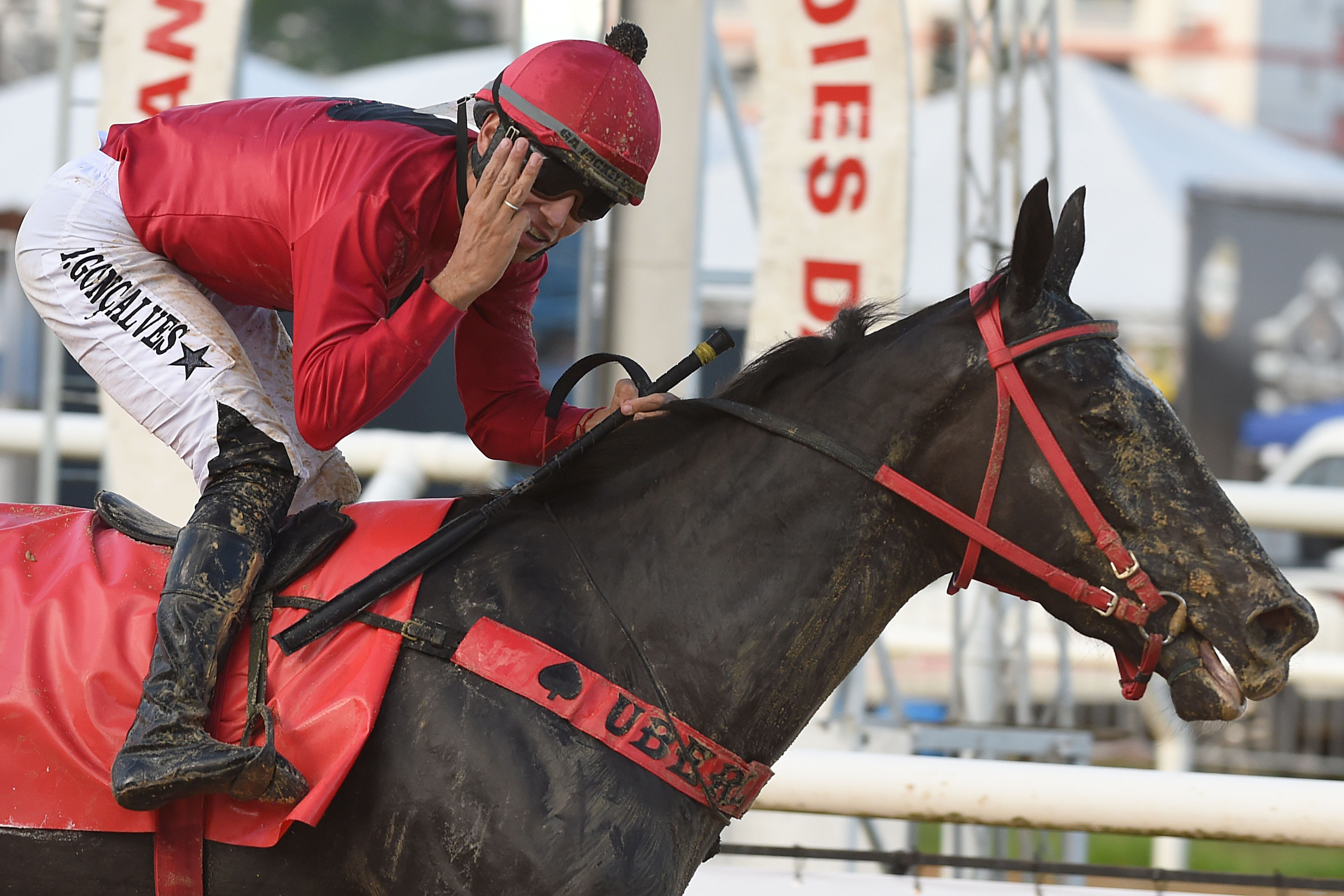 This image for Image Layouts addon