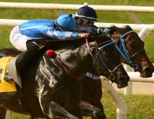 09.07 Corridas &raquo; 09.07 Corridas &raquo; 010824