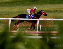 09.07 Corridas &raquo; 09.07 Corridas &raquo; 020824