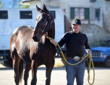09.07 Corridas &raquo; 09.07 Corridas &raquo; 030624