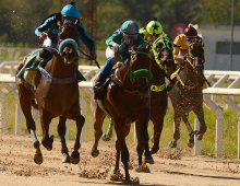 09.07 Corridas &raquo; 09.07 Corridas &raquo; 07.31