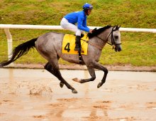 09.07 Corridas &raquo; 09.07 Corridas &raquo; 160125