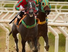 09.07 Corridas &raquo; 09.07 Corridas &raquo; 17.07