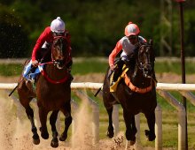 09.07 Corridas &raquo; 09.07 Corridas &raquo; 171024