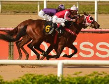 09.07 Corridas &raquo; 09.07 Corridas &raquo; 180724