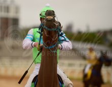 09.07 Corridas &raquo; 09.07 Corridas &raquo; 210324