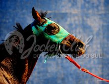 09.07 Corridas &raquo; 09.07 Corridas &raquo; 220224