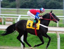 09.07 Corridas &raquo; 09.07 Corridas &raquo; 220824