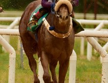 09.07 Corridas &raquo; 09.07 Corridas &raquo; 221124