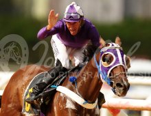 09.07 Corridas &raquo; 09.07 Corridas &raquo; 270124