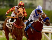 09.07 Corridas &raquo; 09.07 Corridas &raquo; 281124