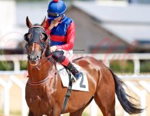 09.07 Corridas &raquo; 09.07 Corridas &raquo; 290224