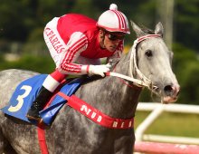 09.07 Corridas &raquo; 09.07 Corridas &raquo; 301123