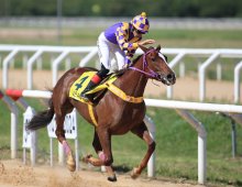 09.07 Corridas &raquo; 09.07 Corridas &raquo; bento2024