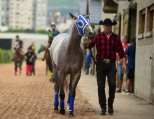 09.07 Corridas &raquo; 09.07 Corridas &raquo; turfe2024
